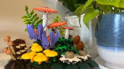 We Build LEGO Woodland Mushrooms, the First Fungi-Themed Set in the Botanical Collection
