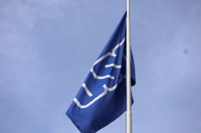USP e 99 anunciam parceria para pesquisas em IA no Brasil