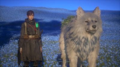 Beast of Reincarnation: vale a pena?