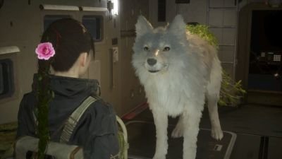 I (18F) Have A Giant Wolf (???M) Following Me Around And Scaring Me For Fun