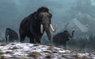 Mamutes ainda poderiam existir? Estudo analisa teoria sobre a extinção da espécie