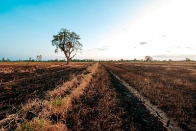 Brasil terá meses de extremos com El Niño mais forte, aponta Inmet
