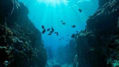 Aquecimento da Terra muda ‘idade’ do Oceano Pacífico, revela estudo